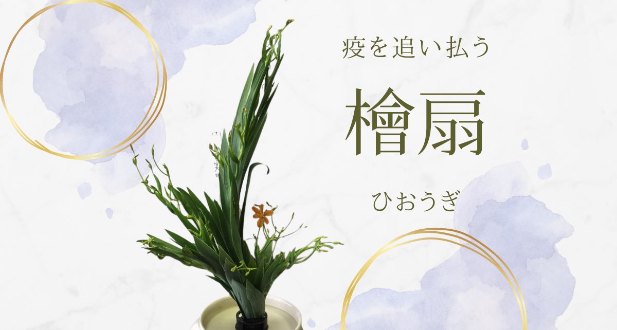 厄を追い払う植物 檜扇(ひおうぎ) | しあわせ案内人 葉月